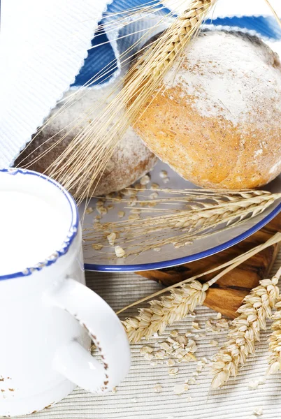 Buğday, süt ve ekmek — Stok fotoğraf