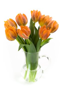 Vase of tulips clipart