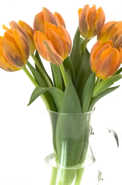 Vase of tulips — Stock Photo, Image