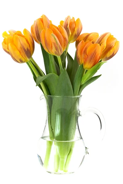 Ваза з тюльпанів — стокове фото