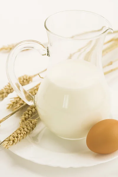 Mléko, vejce a obilí — Stock fotografie