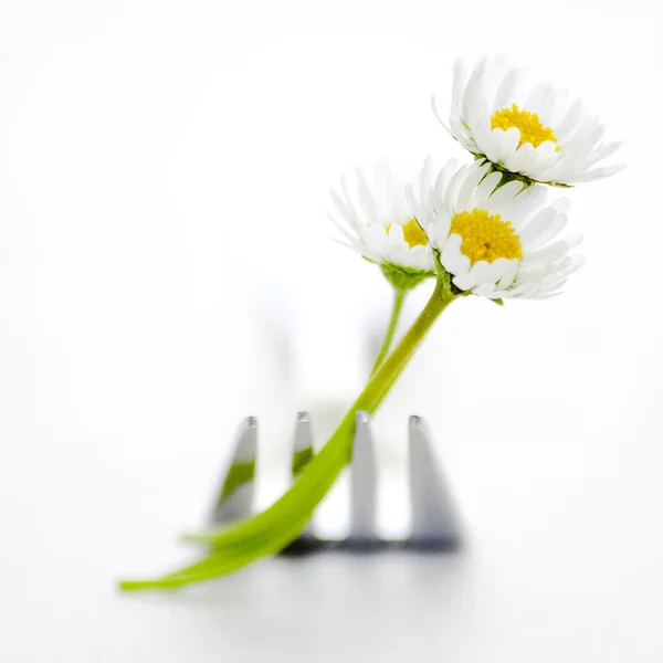 Fork and daisies — Stock Photo, Image