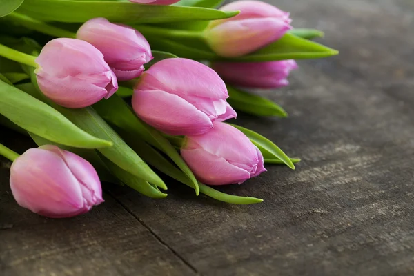 Bouquet of pink tulips — Stock Photo, Image