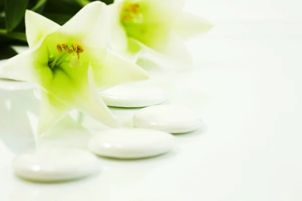 鹅卵石和鲜花 (水疗概念) — 图库照片