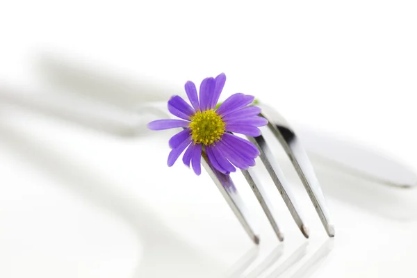 Forchetta e fiore — Foto Stock
