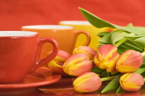 Color caps and tulips — Stock Photo, Image