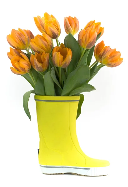 stock image Little rain boot and fresh tulips