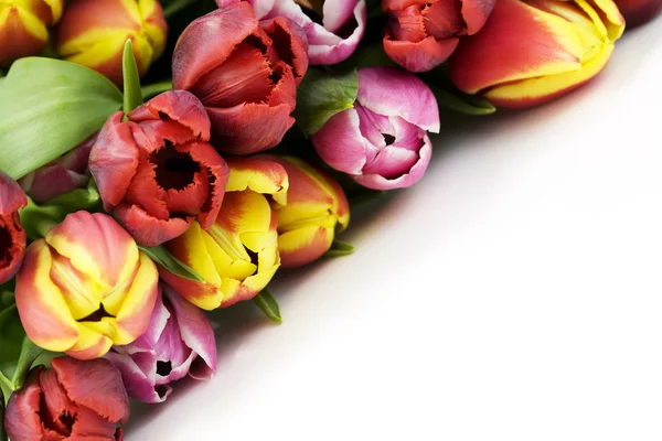 Bouquet of the fresh tulips Stock Image