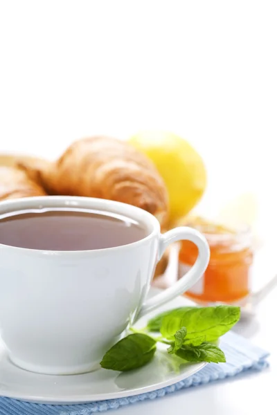 Čerstvé bylinné mátový čaj — Stock fotografie
