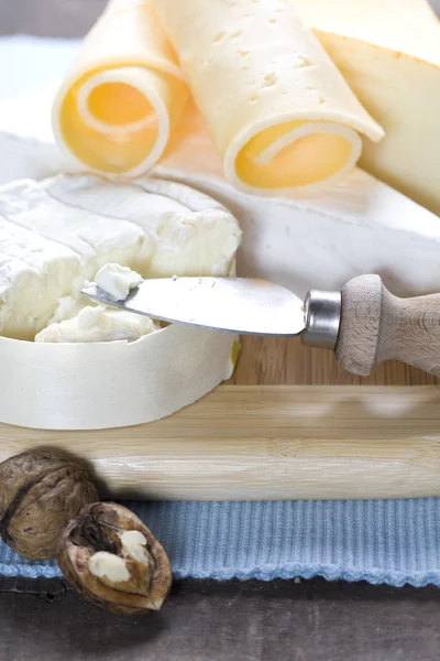 チーズの静物 — ストック写真