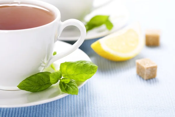 Taze nane bitkisel çay — Stok fotoğraf