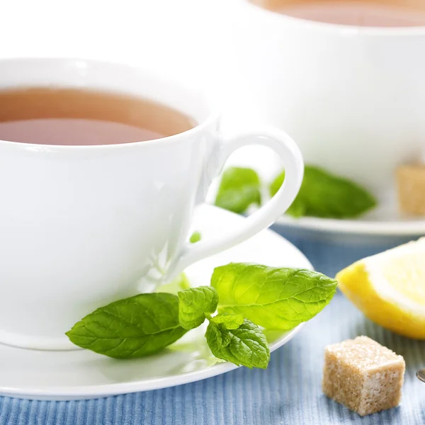 Fresh herbal mint tea — Stock Photo, Image