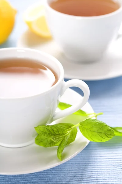 Taze nane bitkisel çay — Stok fotoğraf