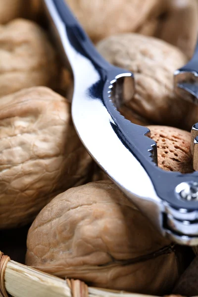 stock image Nut cracker