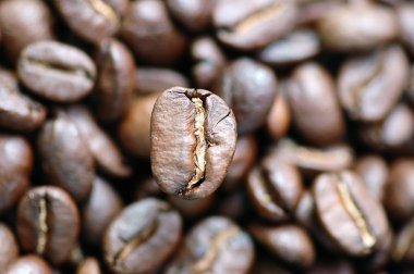 Coffeebeans clipart