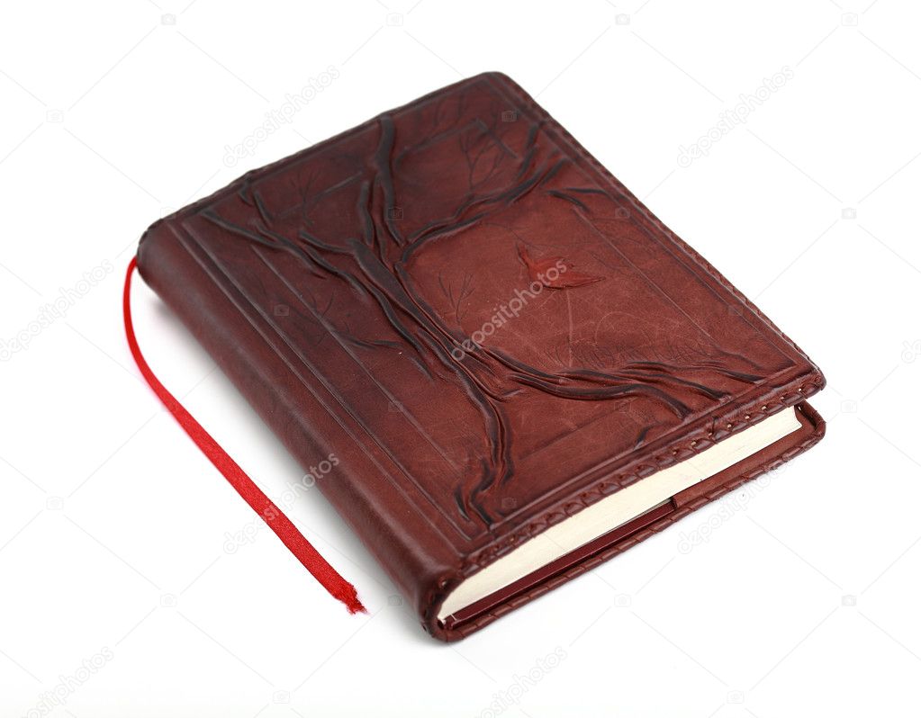Antique brown leather book