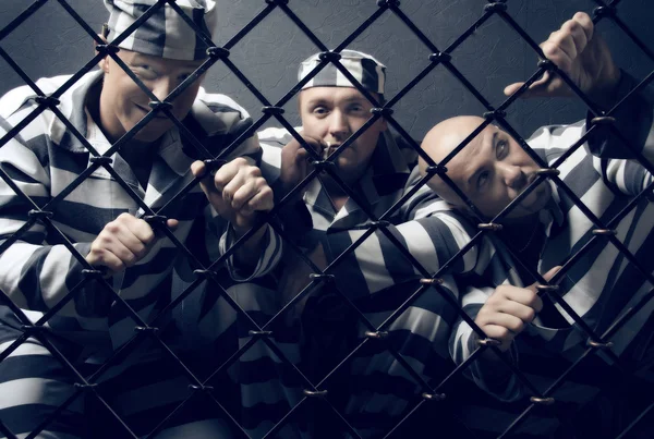 stock image Three prisoners.