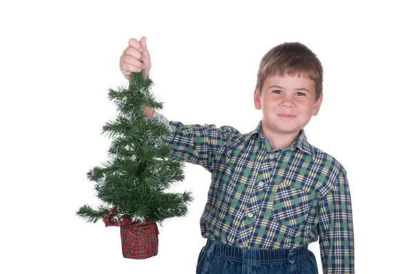 Jongen houdt in een hand een bont-boom — Stockfoto