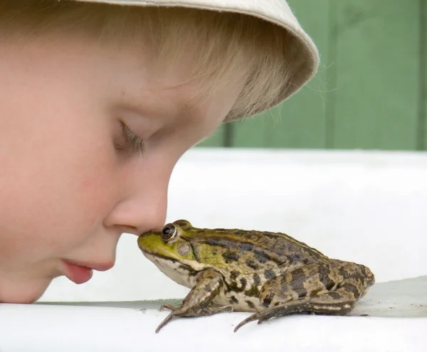 stock image The boy and frog