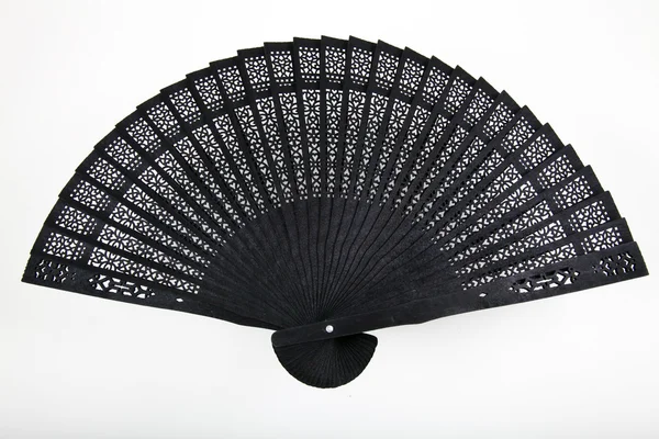 Black Fan — Stock Photo, Image
