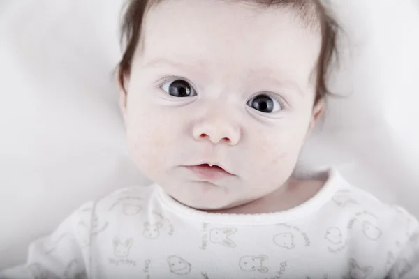 2 ヶ月の赤ちゃん — ストック写真
