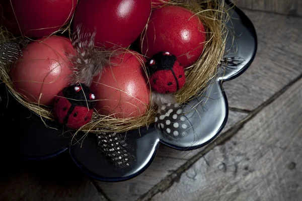 Easter Eggs — Stock Photo, Image
