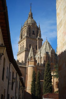 Alamanca Cathedral, Spain clipart