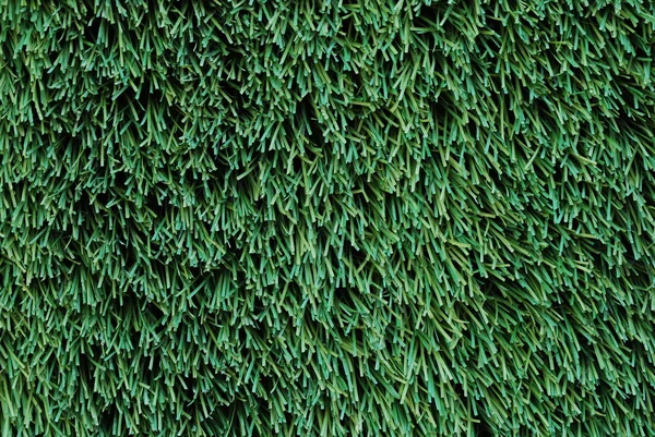 Verde tappeto erboso sfondo — Foto Stock