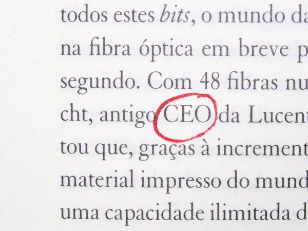 CEO, bedrijfsleider — Stockfoto