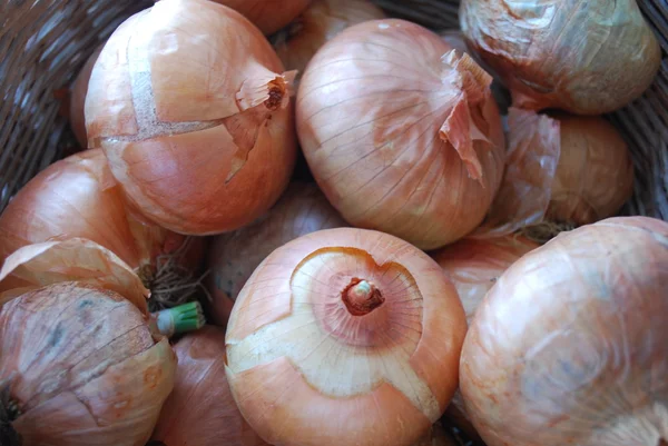 Onions in a Braided Brown Basket — Stock Image Onions in a Braided Brown Basket Stock Photo
