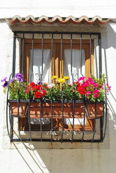 Τυπικό παράθυρο μπαλκόνι με άνθη σε l — Φωτογραφία Αρχείου