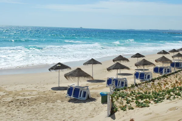 Escena de playa con zona de cocos —  Fotos de Stock