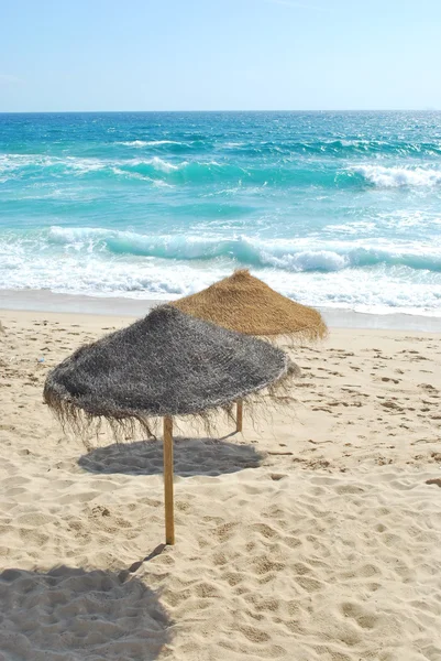 Пляжная сцена с кокосовой зоной — стоковое фото
