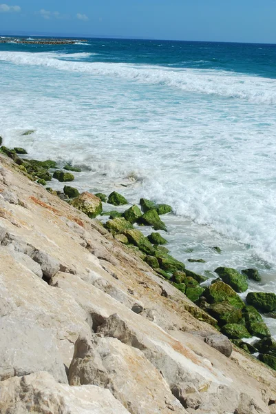 Portuguese shoreline in a bright day — Stock Photo, Image