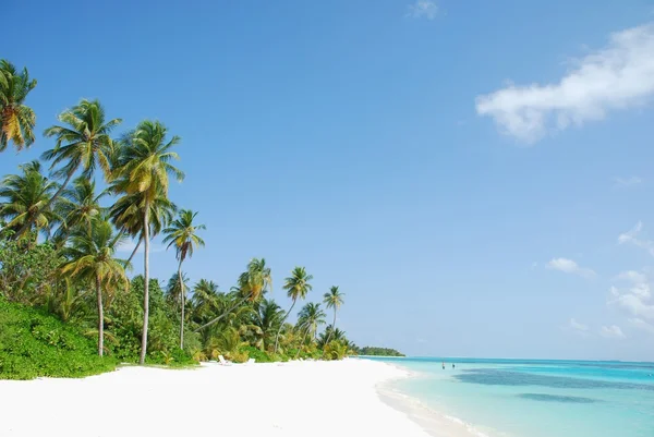 Spiaggia paradisiaca con palme — Foto Stock
