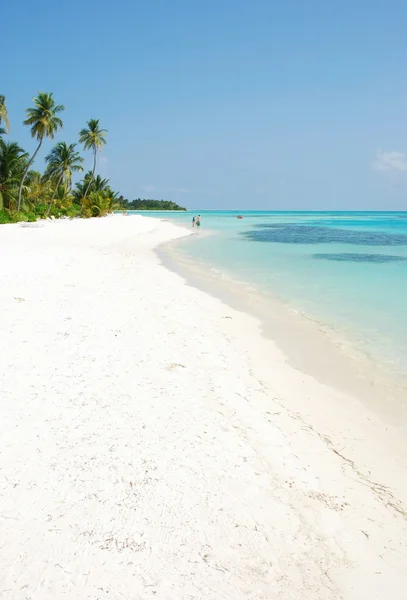 Spiaggia paradisiaca con palme — Foto Stock
