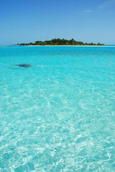 Île des Maldives avec magnifique turquoise — Photo