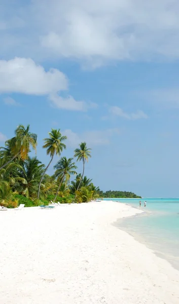 Paraíso de playa con palmeras —  Fotos de Stock