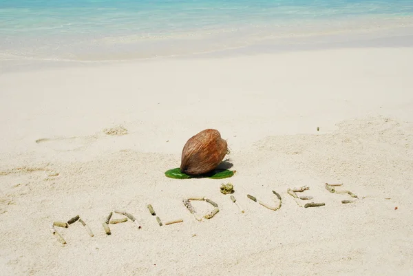 Φρούτα καρύδας σε μια τροπική αμμώδη παραλίαモルディブの砂浜の熱帯 bea で書かれました。 — ストック写真