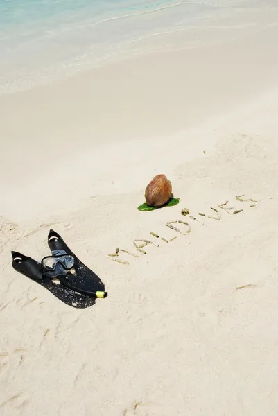 Мальдивская концепция с кокосовыми фруктами и — стоковое фото