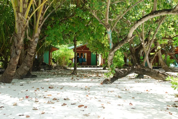 Strand-villák és a természet jelenet Maldív — Stock Fotó