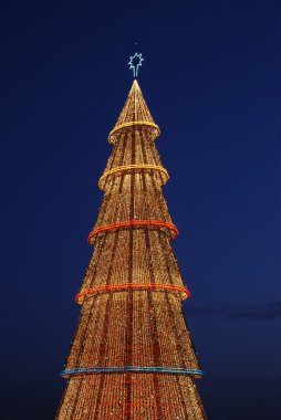 (Gün batımında güzel uzun Noel ağaç