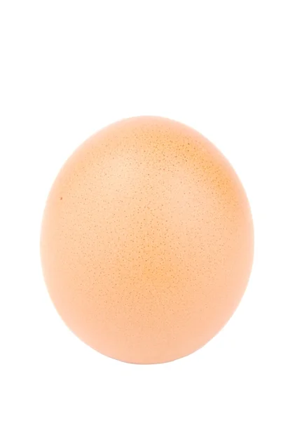 Крупный план яйца на белом — стоковое фото
