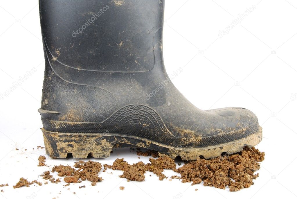 Black rubber boot and soil on white