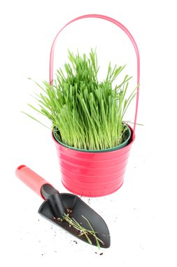 Trowel and grass clipart