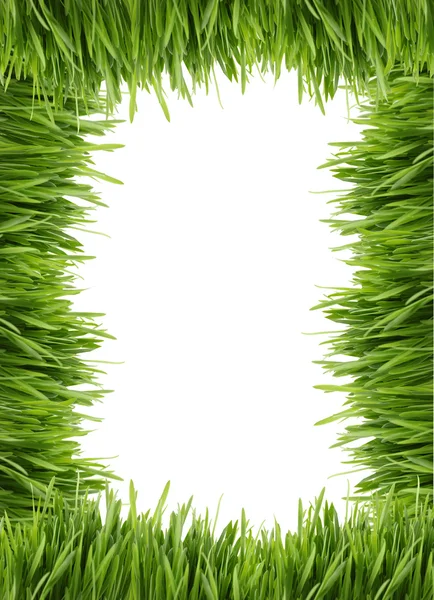 Tall grass border or frame — Stock Photo, Image