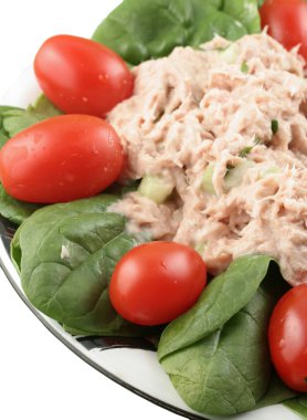 Tuna fish and spinach salad clipart