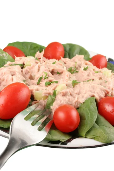 Ton balığı ve ıspanak salatası — Stok fotoğraf