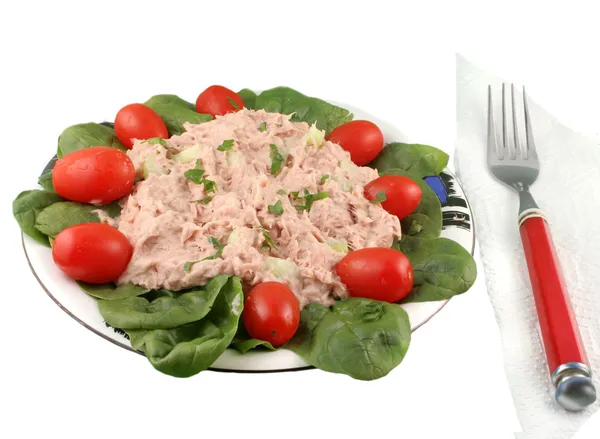 Салат з тунця та шпинату — стокове фото