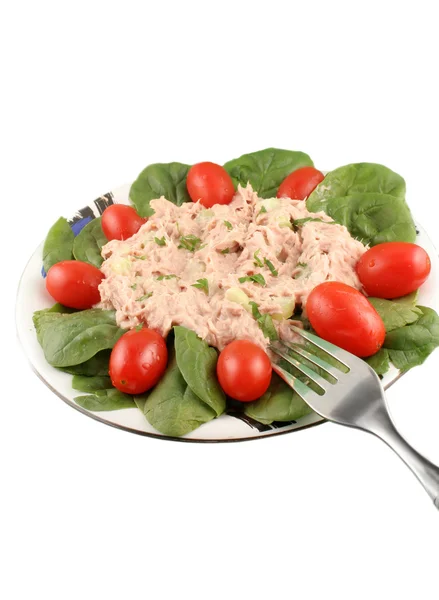 Salade de thon et d'épinards — Photo